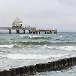 Strandvogel * Zingst