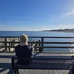 Strandvogel *