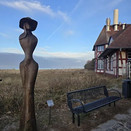 Strandvogel