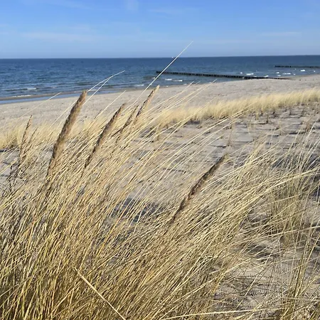 Strandvogel Lejlighed Zingst