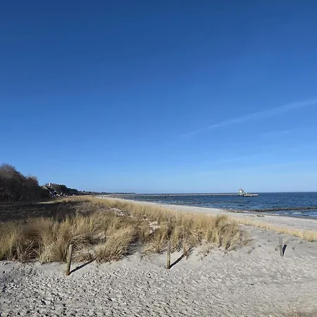 Strandvogel *